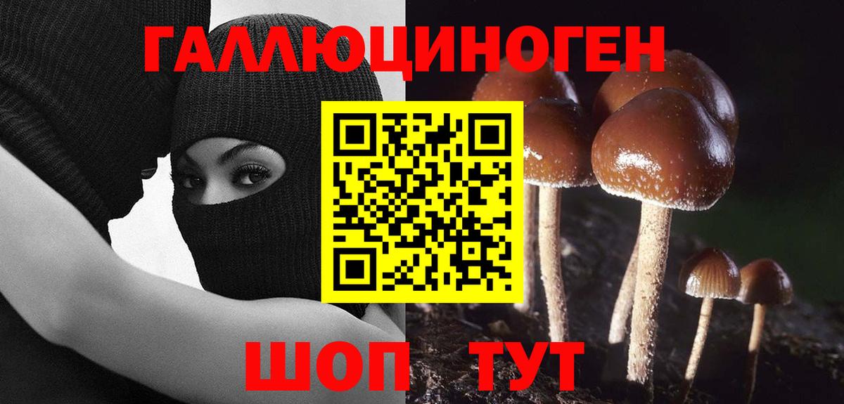 Галлюциногенные грибы прущие грибы  Вход с VPN  Котовск 